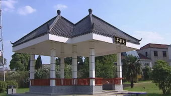 《有巢故里·山水畫廊》壩鎮(zhèn)紀(jì)實專題片本周五登陸瑞軒畫廊